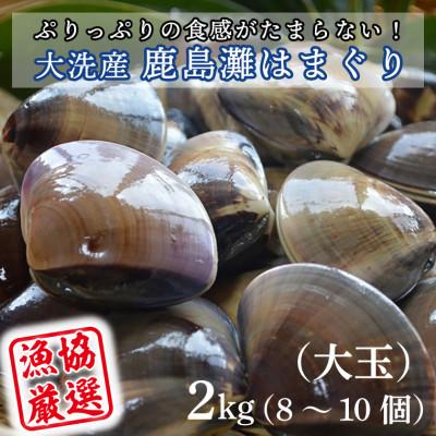 ふるさと納税 大洗町 ぷりっぷりの食感がたまらない! 大洗産鹿島灘はまぐり 2kg(大玉)