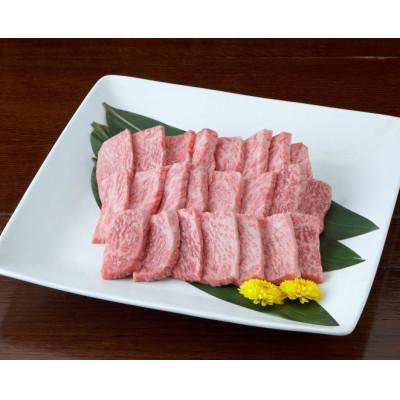 ふるさと納税 水俣市 [黒毛和牛]熊本県産 焼き肉用 ロース600g(300g×2パック)(水俣市)