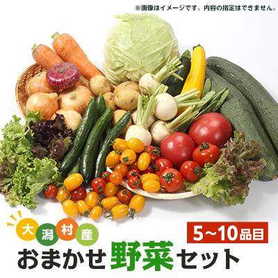 ふるさと納税 大潟村 [数量限定]大潟村産おまかせ野菜セット[5〜10品目]