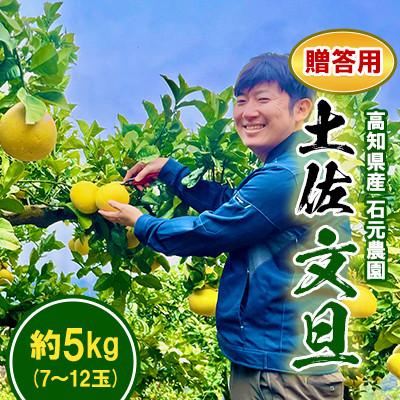ふるさと納税 土佐市 [期間限定]高知県産 石元農園の 土佐 文旦 贈答用 約5kg (7〜12玉)