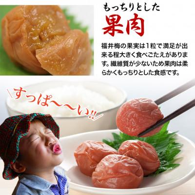 ふるさと納税 若狭町 【福井県産 紅映梅】梅風韻梅ごのみ うす塩味・しそ漬梅ぼし 約1.5kg_3