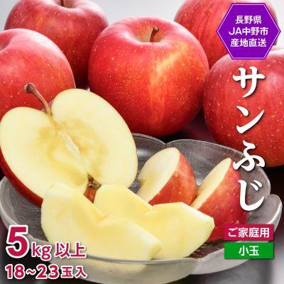 ふるさと納税 中野市 【先行受付】JA中野市 「サンふじ」ご家庭用 訳あり「小玉」 5kg以上(18〜23玉入) | 