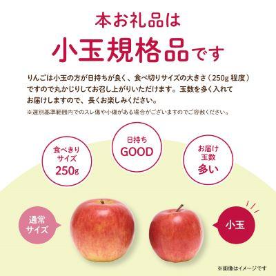 ふるさと納税 中野市 【先行受付】JA中野市 「サンふじ」ご家庭用 訳あり「小玉」 5kg以上(18〜23玉入) |  | 01