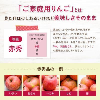 ふるさと納税 中野市 【先行受付】JA中野市 「サンふじ」ご家庭用 訳あり「小玉」 5kg以上(18〜23玉入) |  | 02