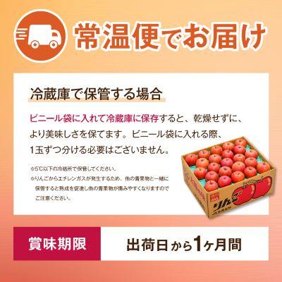 ふるさと納税 中野市 【先行受付】JA中野市 「サンふじ」ご家庭用 訳あり「小玉」 5kg以上(18〜23玉入) |  | 03