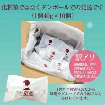 ふるさと納税 一関市 【訳あり】北国のいちご大福 10個入り 冷凍 個包装 (1個40g×10個) |  | 03