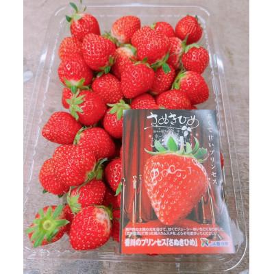 ふるさと納税 東かがわ市 訳ありさぬきひめ苺　約1.2kg |  | 01