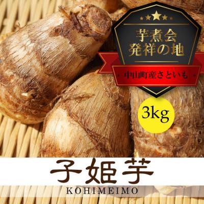 ふるさと納税 中山町 [芋煮会発祥の地中山町産里いも]山形県伝統野菜 子姫芋(こひめいも)3kg