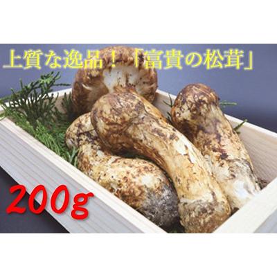 ふるさと納税 九度山町 松茸　200g　【和歌山県産】香り高く希少な国産! | 