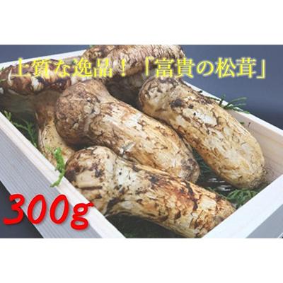 ふるさと納税 九度山町 松茸　300g　【和歌山県産】香り高く希少な国産! | 