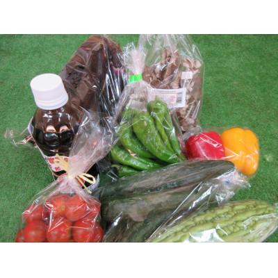 ふるさと納税 長柄町 新鮮野菜7品目と焼き肉のたれ