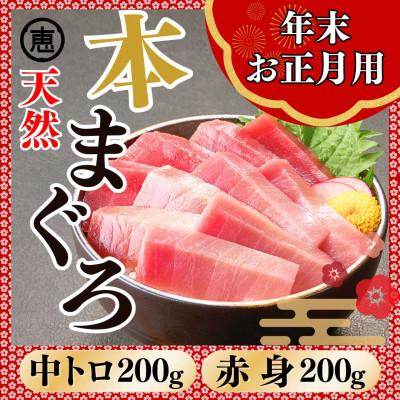 ふるさと納税 三浦市 [年末・お正月用]天然本まぐろ お祝い寿セット 中トロ赤身 各200g 三崎恵水産