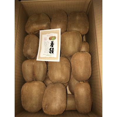 ふるさと納税 東かがわ市 訳あり香緑キウイ 約1.5kg