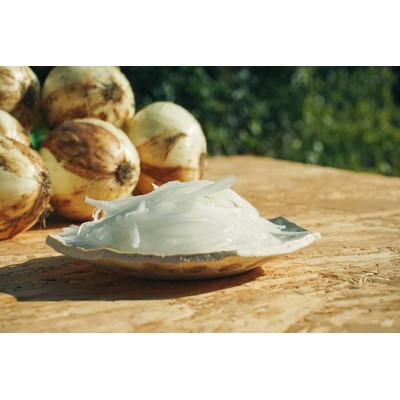 ふるさと納税 水俣市 [先行予約・2026年3月中旬より順次発送]1年に1度だけの感動の甘さ!早採りサラダ玉ねぎ5kg