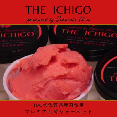 ふるさと納税 唐津市 苺そのままの甘酸っぱさ!プレミアム苺シャーベット8個[先行受付2026年5月より順次発送](唐津市)