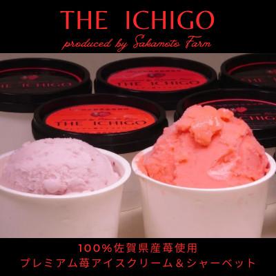 ふるさと納税 唐津市 プレミアム苺アイスクリーム&amp;シャーベットのセット[先行受付 2026年5月より順次発送](唐津市)