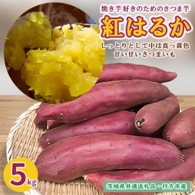 ふるさと納税 潮来市 [12月以降順次発送]焼き芋好きのためのさつま芋 紅はるか5kg[茨城県共通返礼品・行方市産]