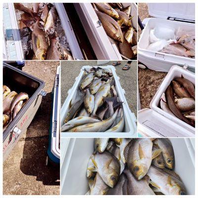 ふるさと納税 唐津市 [イサキ釣り]「天童丸」で呼子港から玄海灘(唐津の離島付近)へ イサキ釣り船1日乗船券(1名様)