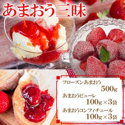 ふるさと納税 大木町 あまおう三昧(フローズンあまおう、あまおうピューレ、あまおうコンフィチュール)