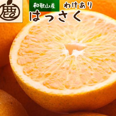 ふるさと納税 那智勝浦町 家庭用 はっさく10kg+250g(傷み補償分)[八朔みかん][光センサー選別][訳あり]