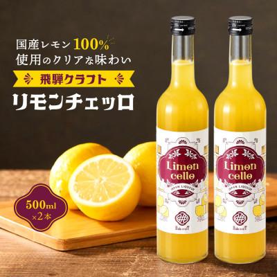 ふるさと納税 高山市 飛騨クラフト リモンチェッロ 500ml 2本セット 森瓦店