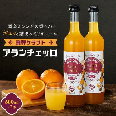 ふるさと納税 高山市 飛騨クラフト アランチェッロ 500ml 2本セット 有限会社森瓦店