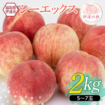 ふるさと納税 伊達市 [先行予約] 福島県産 桃 シーエックス 2kg(5〜7玉) [高橋もも園] F20C-151