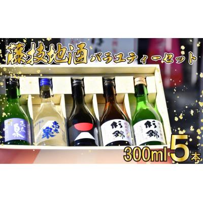 ふるさと納税 藤枝市 藤枝地酒バラエティーセット 300ml×各1本(計5本)