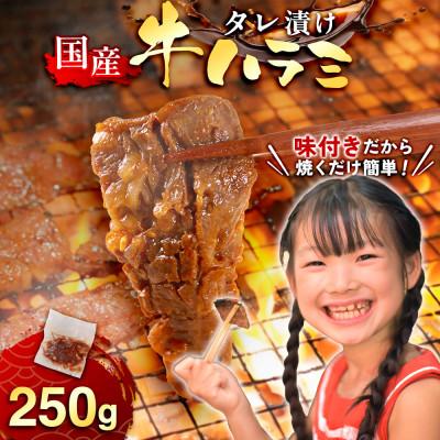 ふるさと納税 宇美町 国産 特製たれ漬 牛ハラミサガリ 250g