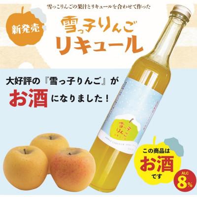 ふるさと納税 北上市 雪っ子りんごリキュール 500ml×1本
