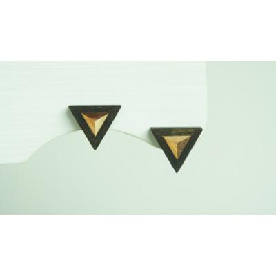 ふるさと納税 日南町 FOSSIL SERIES トライアングルピアス