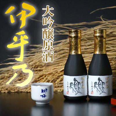 ふるさと納税 小千谷市 高の井酒造 伊乎乃 大吟醸原酒 180ml(クリア カートン入)2本セット