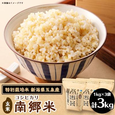 ふるさと納税 五泉市 令和7年産 特別栽培米 隠れたお米の名産地!新潟県五泉産コシヒカリ「南郷米」玄米3kg