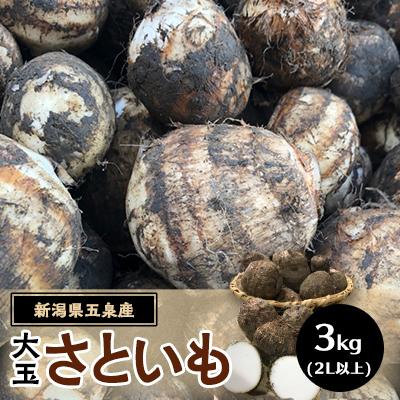 ふるさと納税 五泉市 五泉産 大玉さといも 3kg(2L以上)