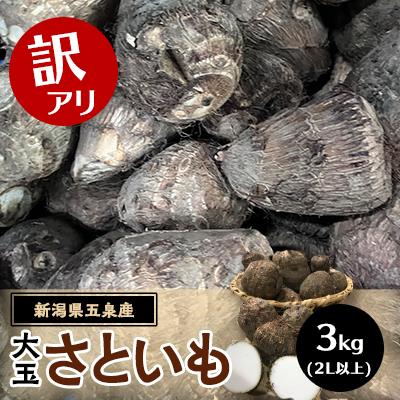 ふるさと納税 五泉市 [訳アリ]五泉産 大玉さといも 3kg(2L以上)