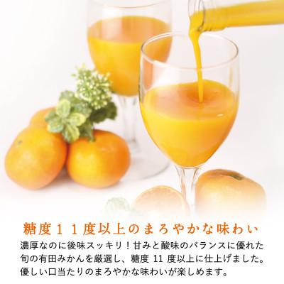 ふるさと納税 有田市 【早和果樹園】味まろしぼり(大瓶)12本入|有田みかん100%ストレートジュース_3