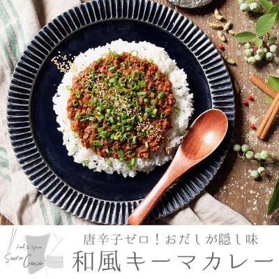 ふるさと納税 東串良町 唐辛子ゼロ!おだしが隠し味の和風キーマカレー(120g×4パック・真空パック)[0124206a]