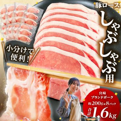 ふるさと納税 宮崎市 宮崎ブランドポークロース2mmスライスしゃぶしゃぶ用×1.6kg(約200g×8パック)
