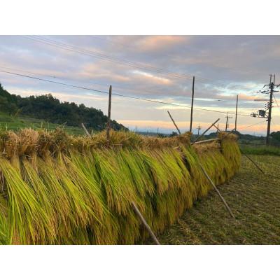 ふるさと納税 大津市 農林22号白米2kg 天日干し 栽培期間中農薬・化学肥料不使用