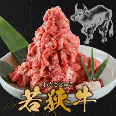 ふるさと納税 福井市 若狭牛A5ランク切り落とし肉 1kg