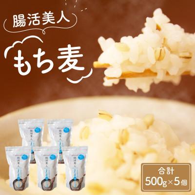 ふるさと納税 福井市 腸活美人 福井産　六条大麦もち麦 5個セット | 