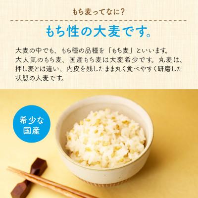 ふるさと納税 福井市 腸活美人 福井産　六条大麦もち麦 5個セット |  | 01