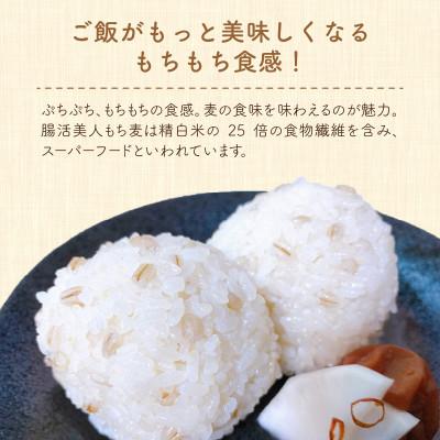 ふるさと納税 福井市 腸活美人 福井産　六条大麦もち麦 5個セット |  | 02