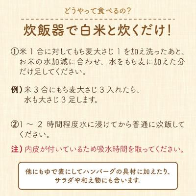 ふるさと納税 福井市 腸活美人 福井産　六条大麦もち麦 5個セット |  | 03