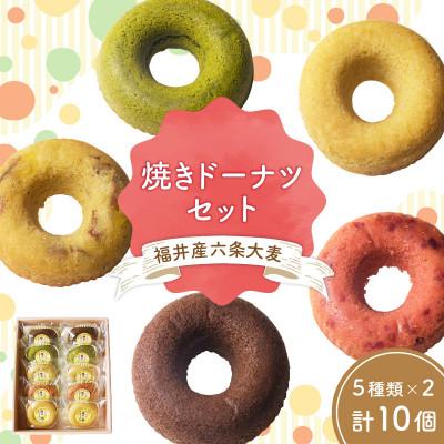 ふるさと納税 福井市 福井産六条大麦焼きドーナツセット(5種類×2個 計10個)