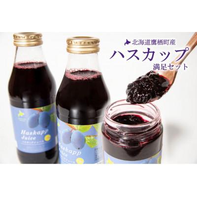 ふるさと納税 鷹栖町 ハスカップ満足セット