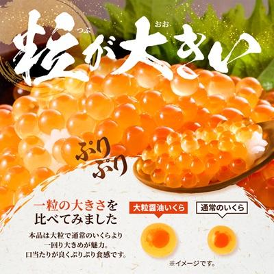 ふるさと納税 標津町 北海道産【大粒】醤油いくら500g×2個 イクラ 北海道 人気 おすすめ 魚卵 天然 |  | 02