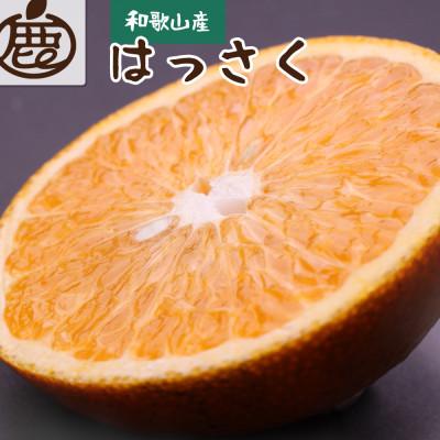 ふるさと納税 古座川町 厳選 はっさく2.5kg+250g(傷み補償分)[八朔みかん][光センサー選別]