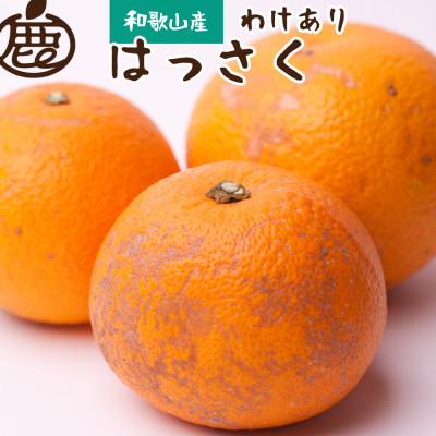 ふるさと納税 古座川町 家庭用 はっさく2.5kg+250g(傷み補償分)[八朔みかん][光センサー選別][訳あり]
