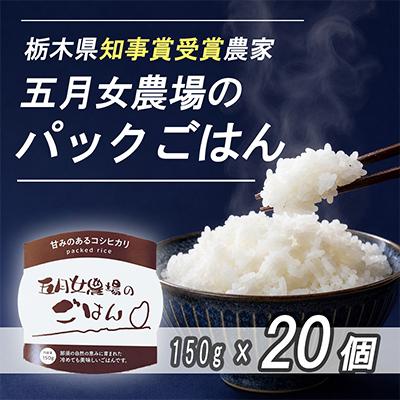 ふるさと納税 大田原市 栃木県大田原産コシヒカリ パックご飯20個|栃木